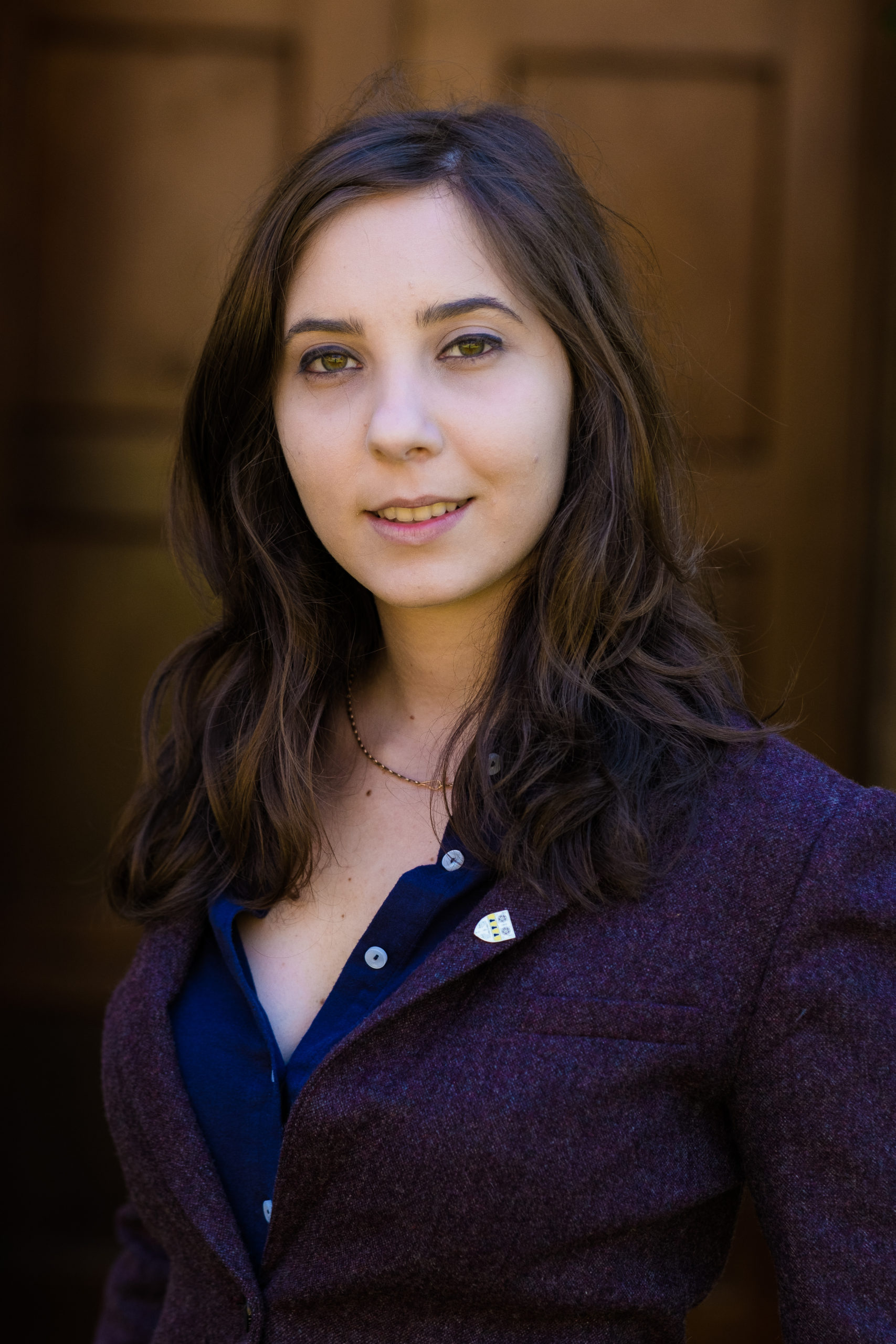 Raluca L. Pahontu